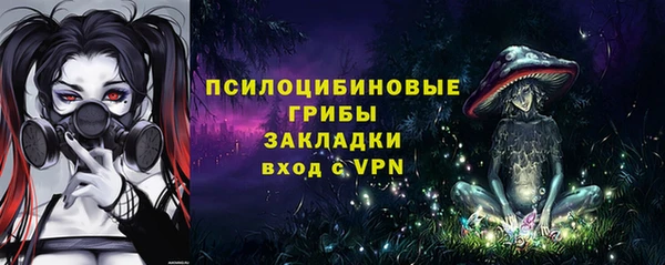 МДПВ Алексин