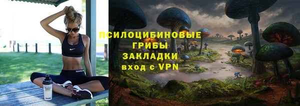 МДПВ Алексин