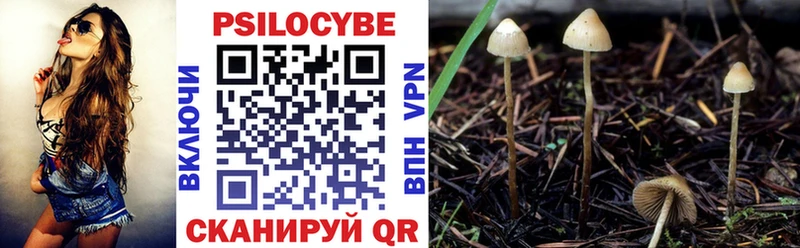 Галлюциногенные грибы Psilocybine cubensis KRAKEN зеркало Инсар